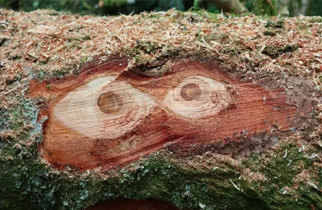 /